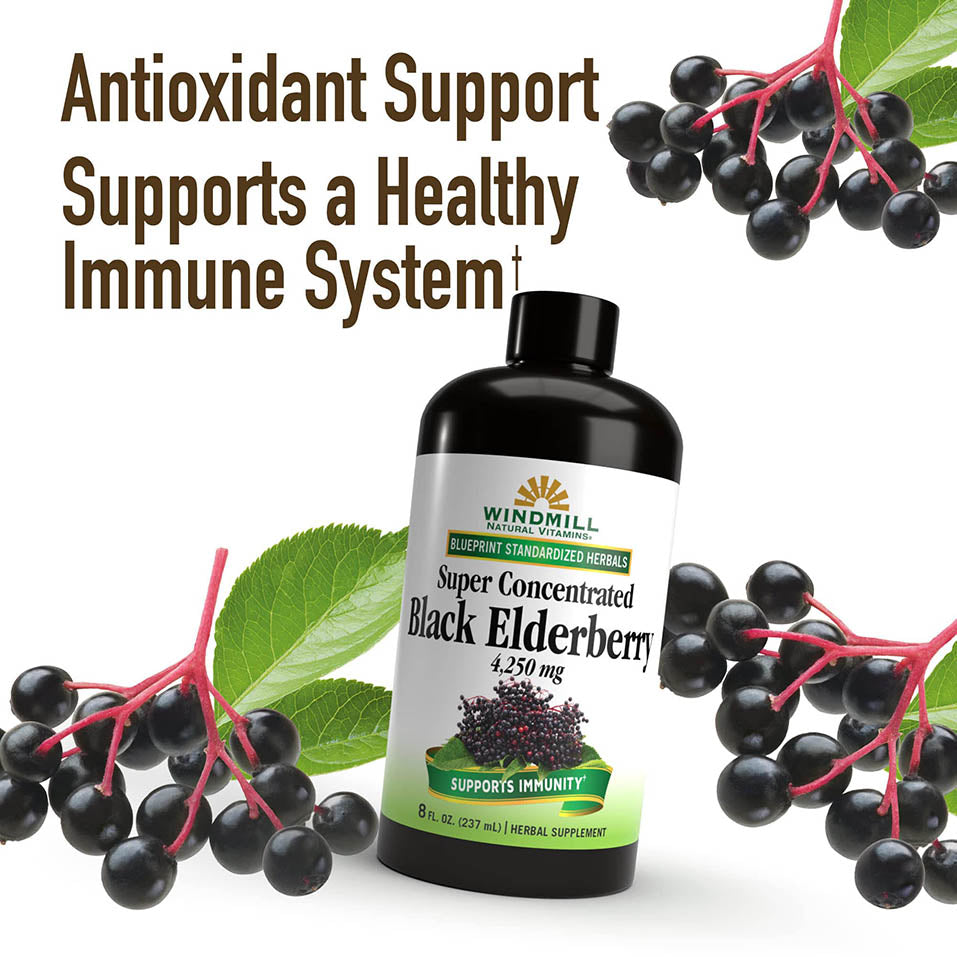 Super Concentrated Black Elderberry, Supports Immune System, Rich in Antioxidants, 8 Fl Oz