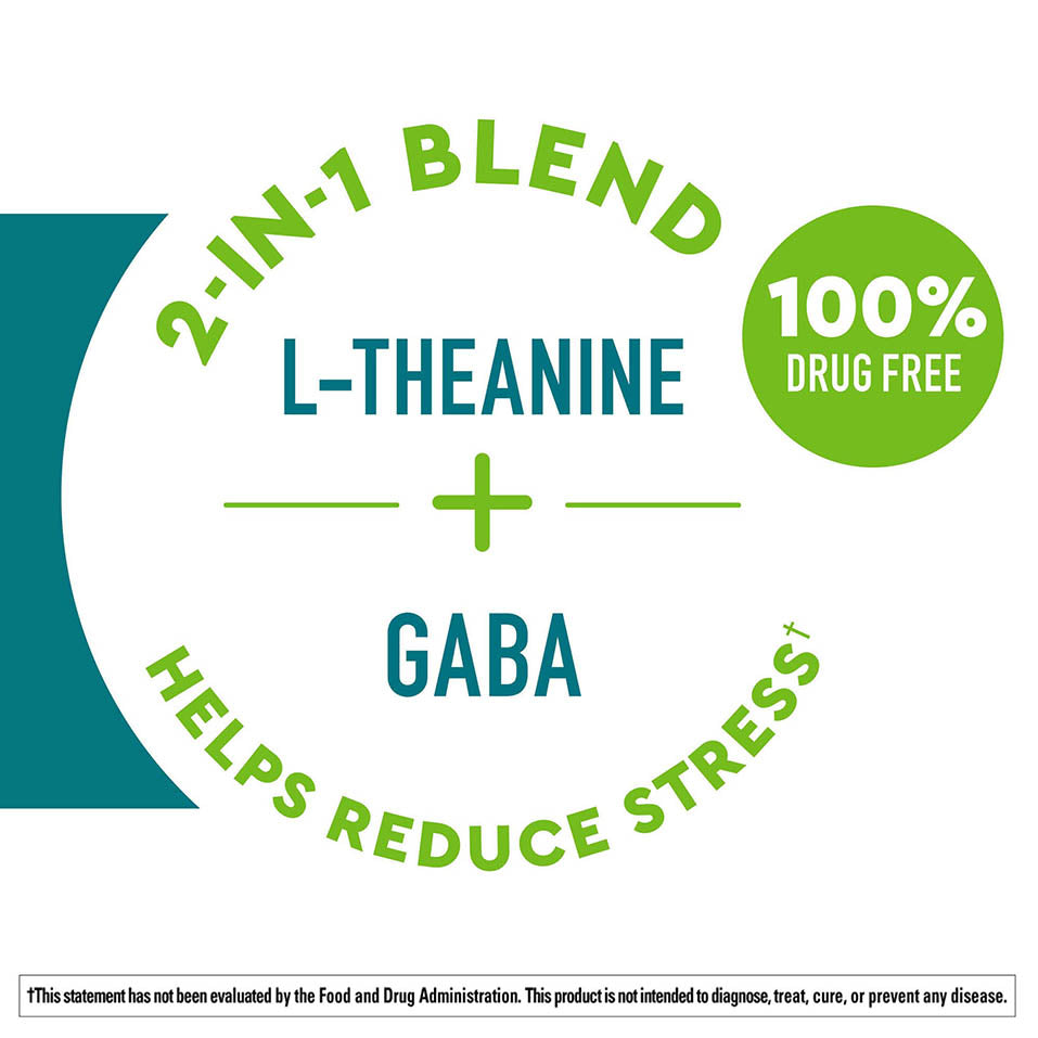 Nature Made Wellblends Stress Relief Gummies, L theanine 200mg to Help Reduce Stress, with GABA 100mg, Same Day Stress Support, 40 Strawberry Flavor Gummies