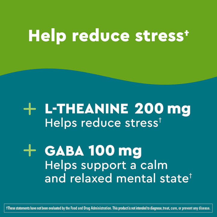 Nature Made Wellblends Stress Relief Gummies, L theanine 200mg to Help Reduce Stress, with GABA 100mg, Same Day Stress Support, 40 Strawberry Flavor Gummies